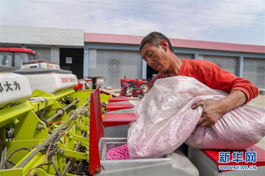 （在习近平新时代中国特色社会主义思想指引下——新时代新作为新篇章·习近平总书记关切事·图文互动）（8）让每一寸耕地都成为丰收的沃土——我国加强耕地?；ね平?ldquo;藏粮于地”