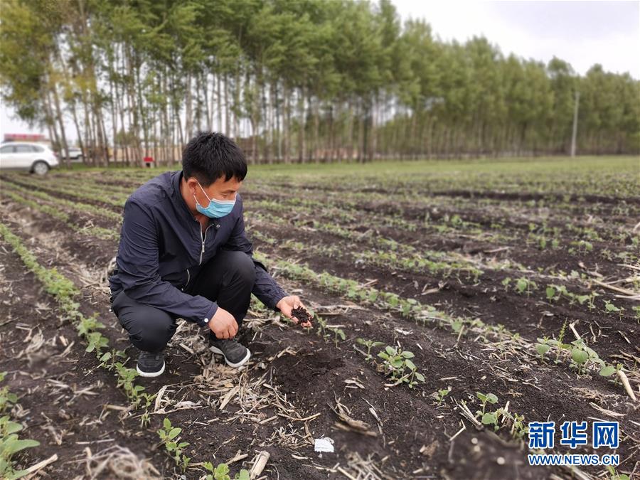 （在习近平新时代中国特色社会主义思想指引下——新时代新作为新篇章·习近平总书记关切事·图文互动）（6）让每一寸耕地都成为丰收的沃土——我国加强耕地?；ね平?ldquo;藏粮于地”