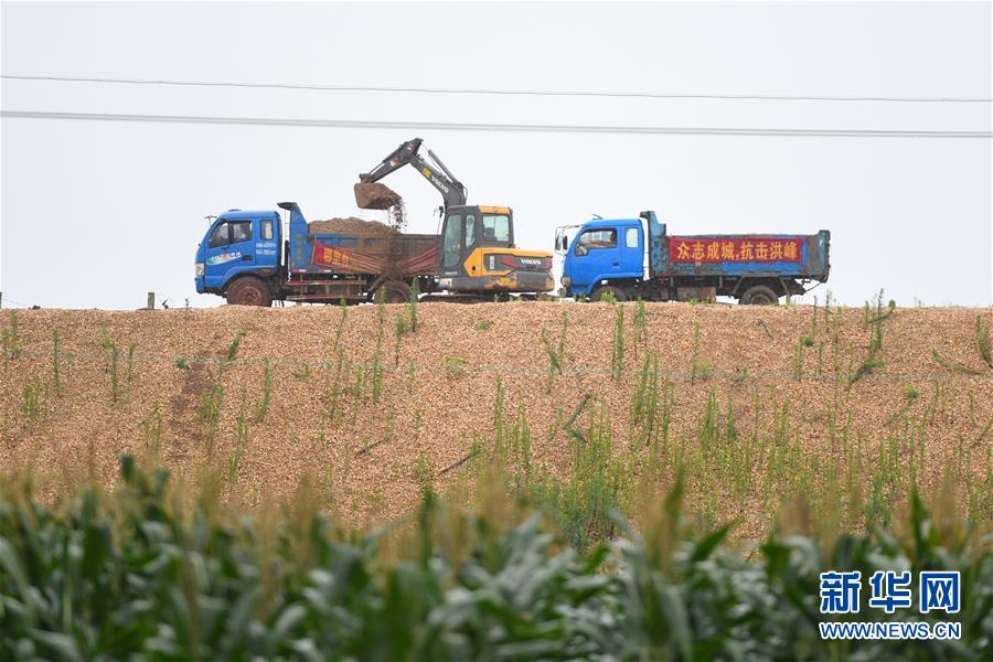 （防汛抗洪·图文互动）（4）“险情不可怕，可怕的是不能及时发现险情”——洞庭湖巡堤查险现场直击