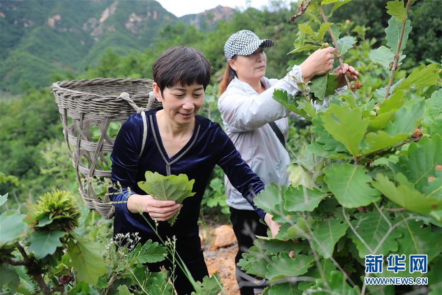 （新华全媒头条·走向我们的小康生活·图文互动）（7）长城脚下，小康村串成“珍珠链”