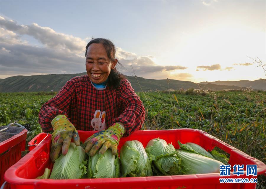 （新华全媒头条·决战决胜脱贫攻坚·督战未摘帽贫困县·图文互动）（1）不获全胜，决不收兵——全国52个挂牌督战贫困县脱贫攻坚纪实