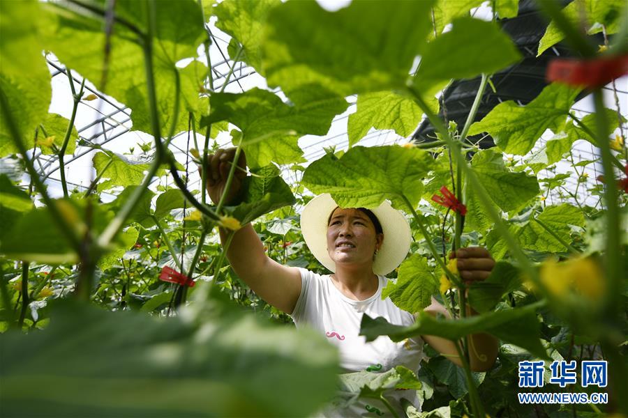 （新华全媒头条·百万大移民·图文互动）（1）从大山深处到大河之畔——宁夏持续移民百万“拔穷根”启示