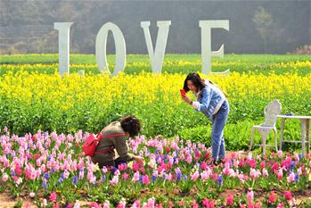 春暖花开迎客来