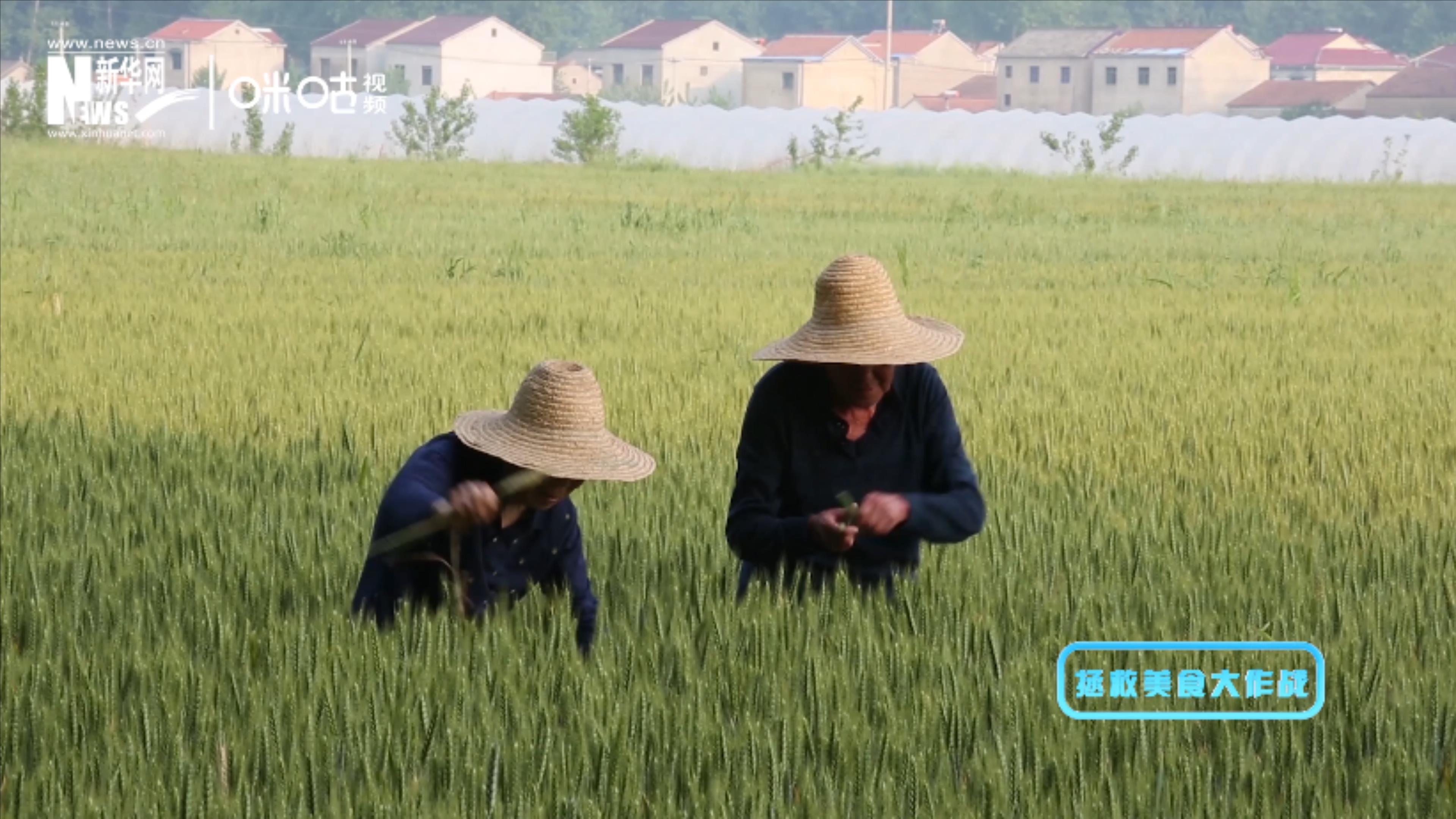 被浪费的不止是食物本身，还有生产粮食的资源、金钱和劳动力