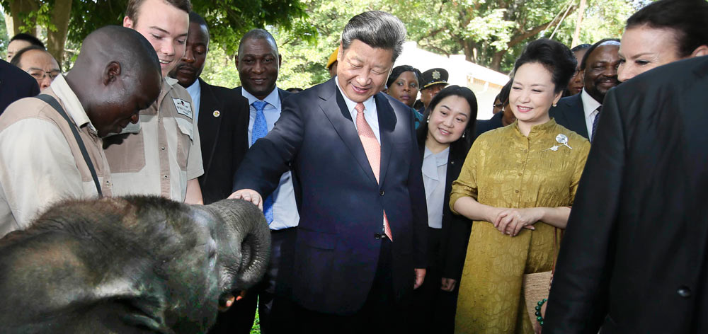 习近平考察津巴布韦野生动物救助基地